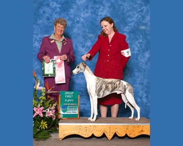 Friday Puppy Winners