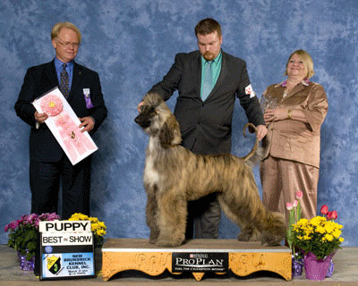 Saturday Puppy Winners
